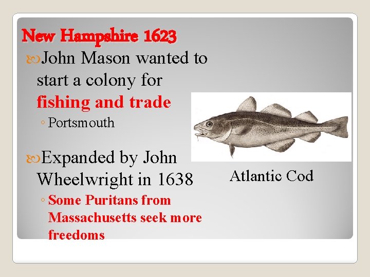 New Hampshire 1623 John Mason wanted to start a colony for fishing and trade
