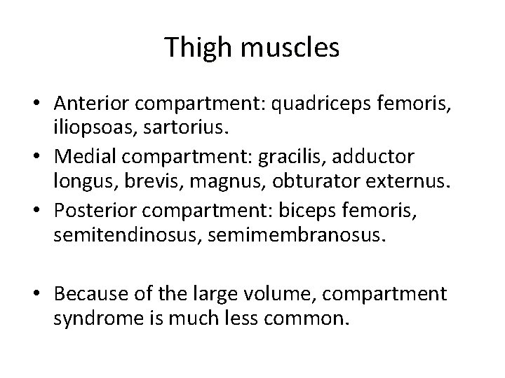 Thigh muscles • Anterior compartment: quadriceps femoris, iliopsoas, sartorius. • Medial compartment: gracilis, adductor