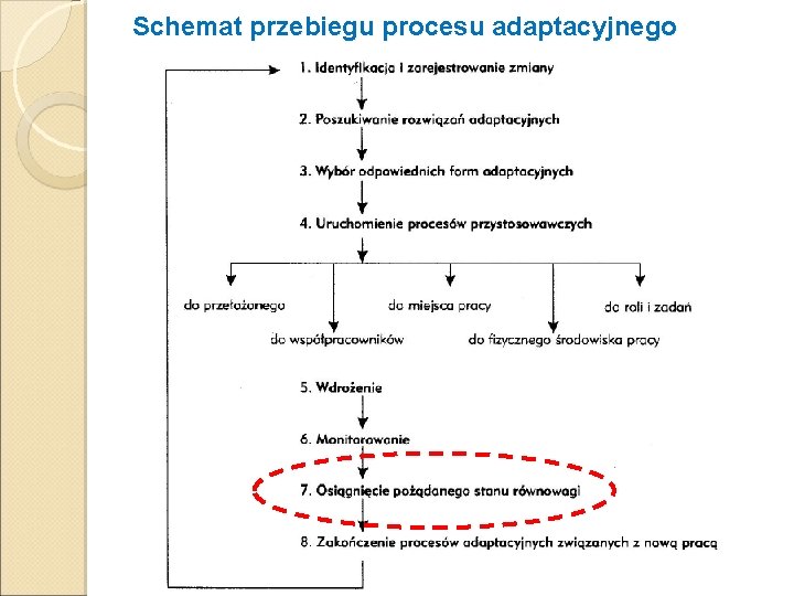 Schemat przebiegu procesu adaptacyjnego 