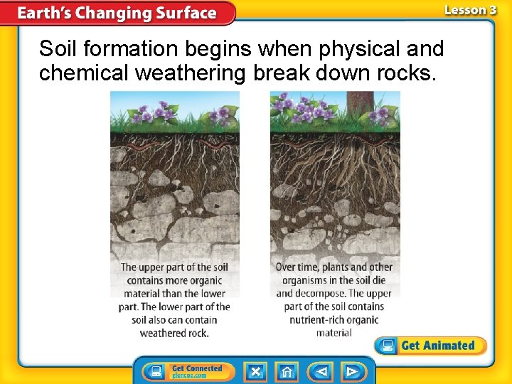 Soil formation begins when physical and chemical weathering break down rocks. 