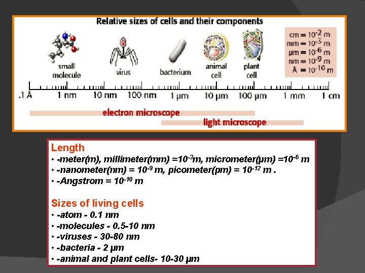 Length • -meter(m), millimeter(mm) =10 -3 m, micrometer(µm) =10 -6 m • -nanometer(nm) =