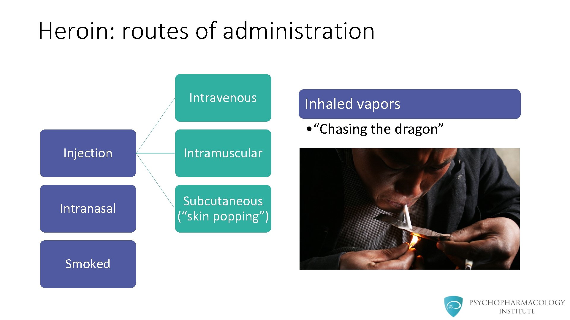 Heroin: routes of administration Intravenous Inhaled vapors • “Chasing the dragon” Injection Intramuscular Intranasal