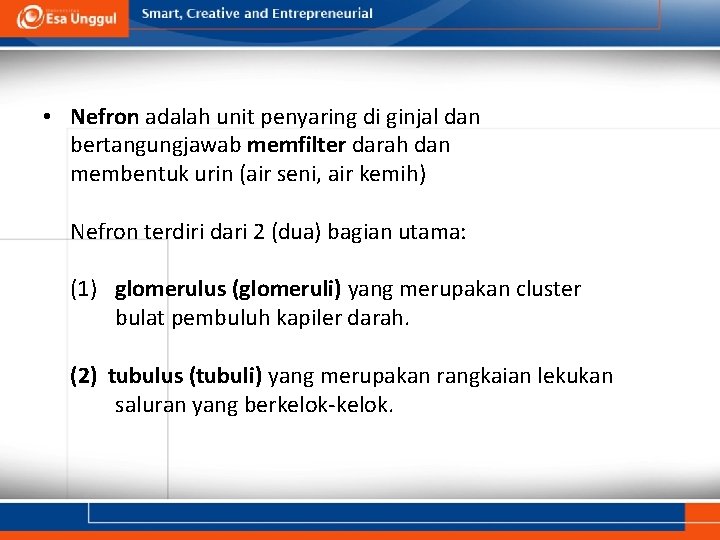  • Nefron adalah unit penyaring di ginjal dan bertangungjawab memfilter darah dan membentuk