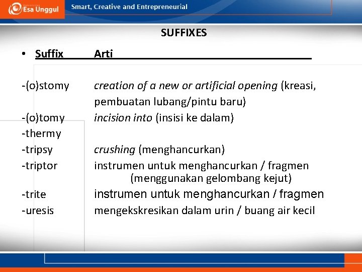 SUFFIXES • Suffix Arti -(o)stomy creation of a new or artificial opening (kreasi, pembuatan