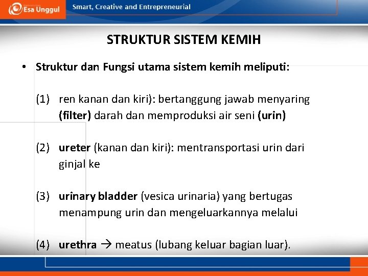 STRUKTUR SISTEM KEMIH • Struktur dan Fungsi utama sistem kemih meliputi: (1) ren kanan