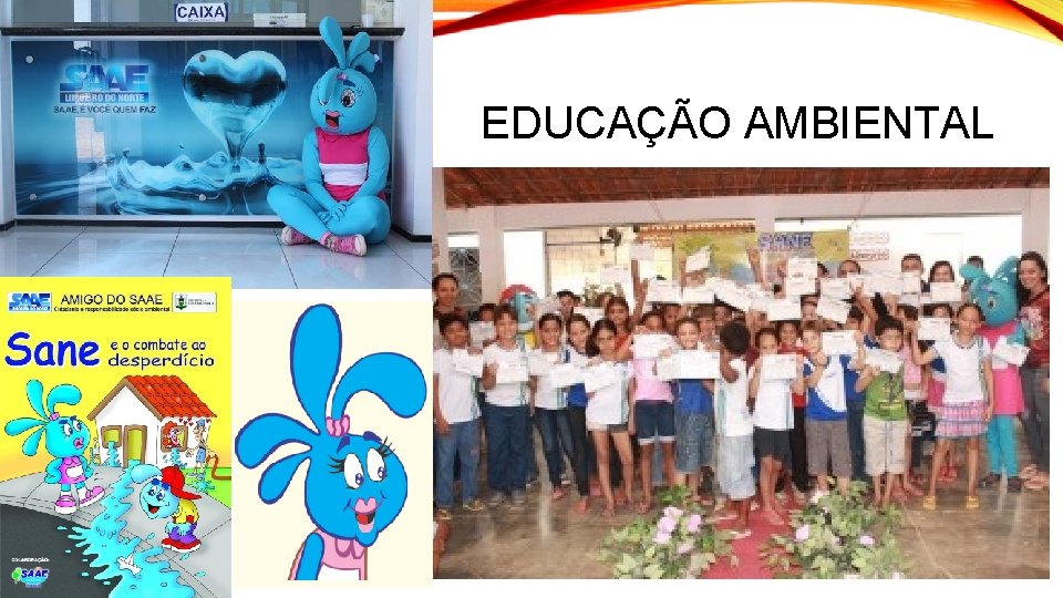 EDUCAÇÃO AMBIENTAL 