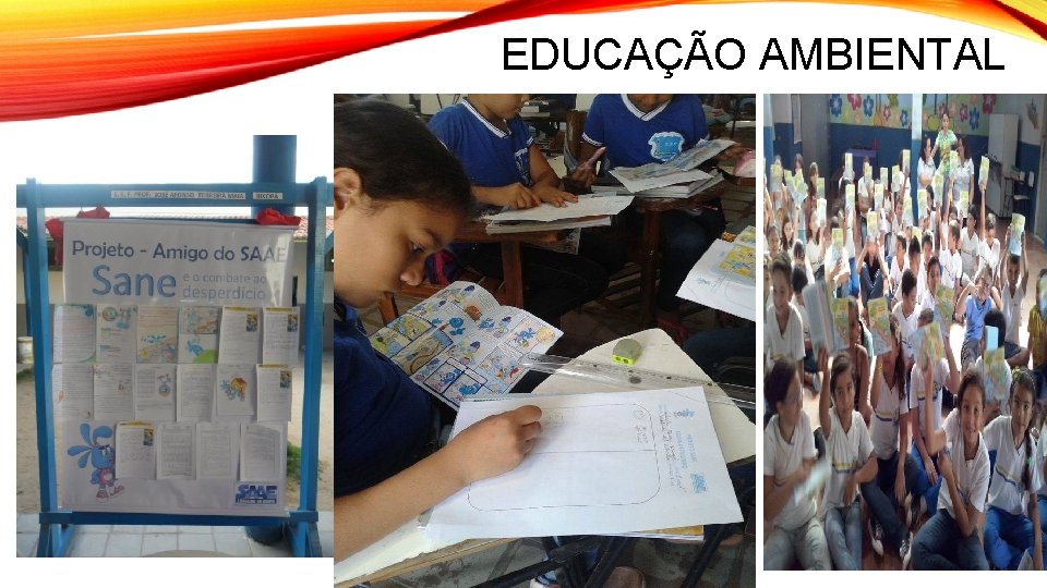 EDUCAÇÃO AMBIENTAL 