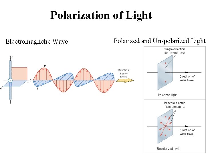 Polarization of Light Electromagnetic Wave Polarized and Un-polarized Light 