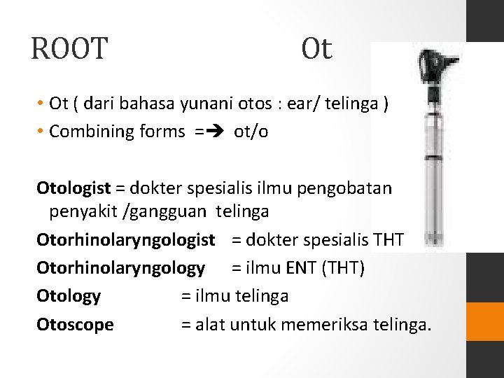 ROOT Ot • Ot ( dari bahasa yunani otos : ear/ telinga ) • ROOT Ot • Ot ( dari bahasa yunani otos : ear/ telinga ) •