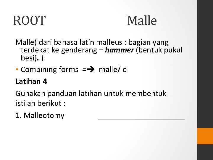 ROOT Malle( dari bahasa latin malleus : bagian yang terdekat ke genderang = hammer ROOT Malle( dari bahasa latin malleus : bagian yang terdekat ke genderang = hammer