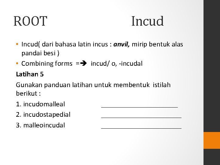 ROOT Incud • Incud( dari bahasa latin incus : anvil, mirip bentuk alas pandai ROOT Incud • Incud( dari bahasa latin incus : anvil, mirip bentuk alas pandai
