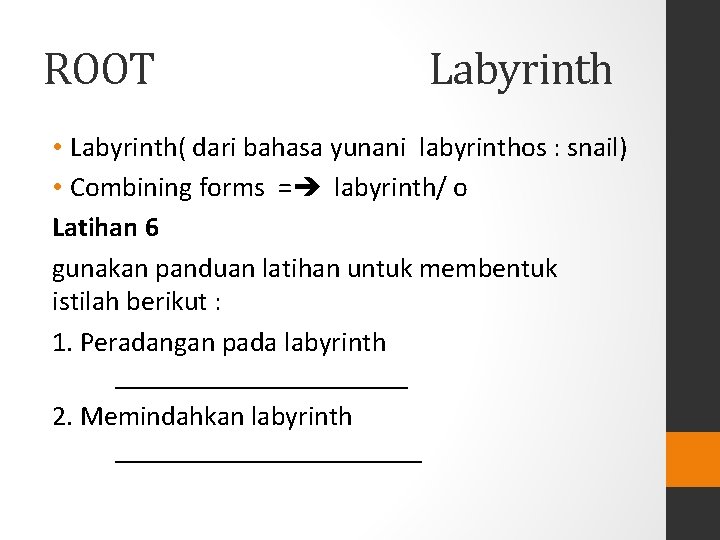 ROOT Labyrinth • Labyrinth( dari bahasa yunani labyrinthos : snail) • Combining forms = ROOT Labyrinth • Labyrinth( dari bahasa yunani labyrinthos : snail) • Combining forms =