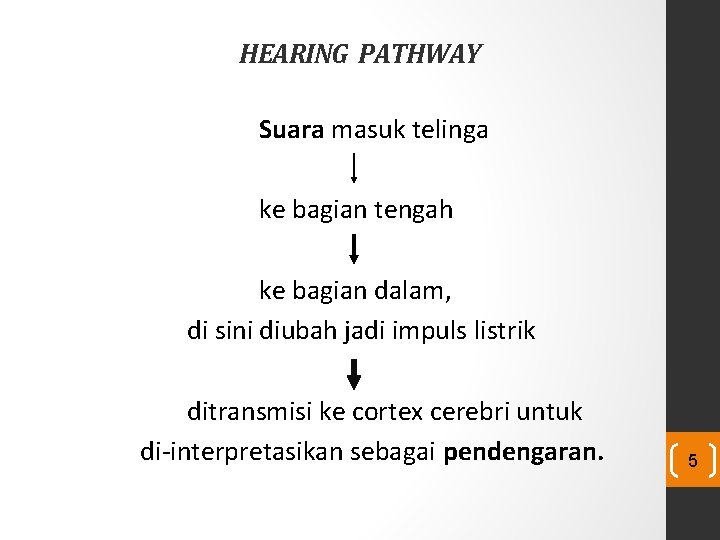HEARING PATHWAY Suara masuk telinga ke bagian tengah ke bagian dalam, di sini diubah HEARING PATHWAY Suara masuk telinga ke bagian tengah ke bagian dalam, di sini diubah