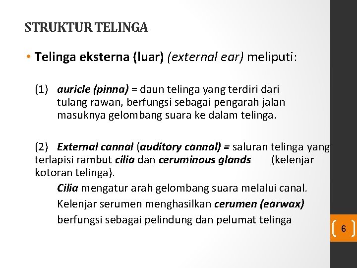 STRUKTUR TELINGA • Telinga eksterna (luar) (external ear) meliputi: (1) auricle (pinna) = daun STRUKTUR TELINGA • Telinga eksterna (luar) (external ear) meliputi: (1) auricle (pinna) = daun