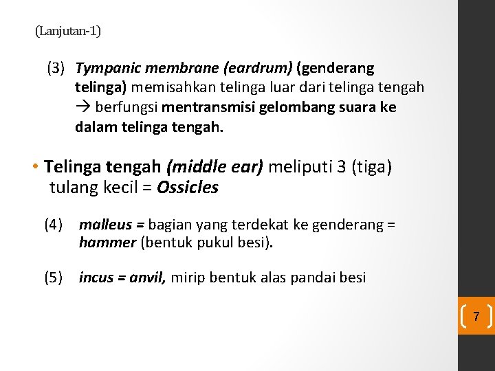(Lanjutan-1) (3) Tympanic membrane (eardrum) (genderang telinga) memisahkan telinga luar dari telinga tengah berfungsi (Lanjutan-1) (3) Tympanic membrane (eardrum) (genderang telinga) memisahkan telinga luar dari telinga tengah berfungsi