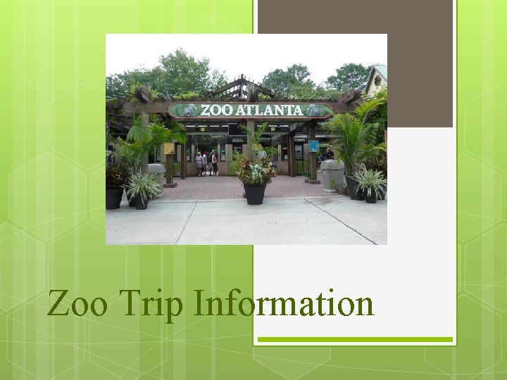 Zoo Trip Information 