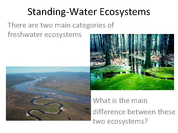 Standing-Water Ecosystems There are two main categories of freshwater ecosystems What is the main Standing-Water Ecosystems There are two main categories of freshwater ecosystems What is the main