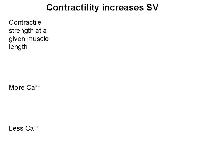 Contractility increases SV Contractile strength at a given muscle length More Ca++ Less Ca++