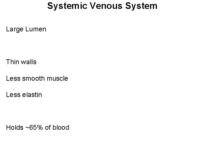 Systemic Venous System Large Lumen Thin walls Less smooth muscle Less elastin Holds ~65%