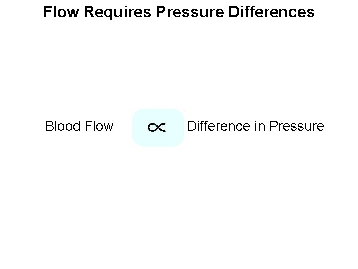 Flow Requires Pressure Differences Blood Flow Difference in Pressure 