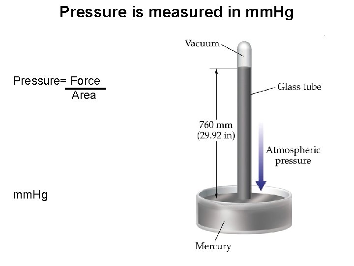 Pressure is measured in mm. Hg Pressure= Force Area mm. Hg 