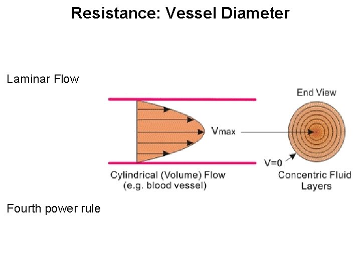 Resistance: Vessel Diameter Laminar Flow Fourth power rule 