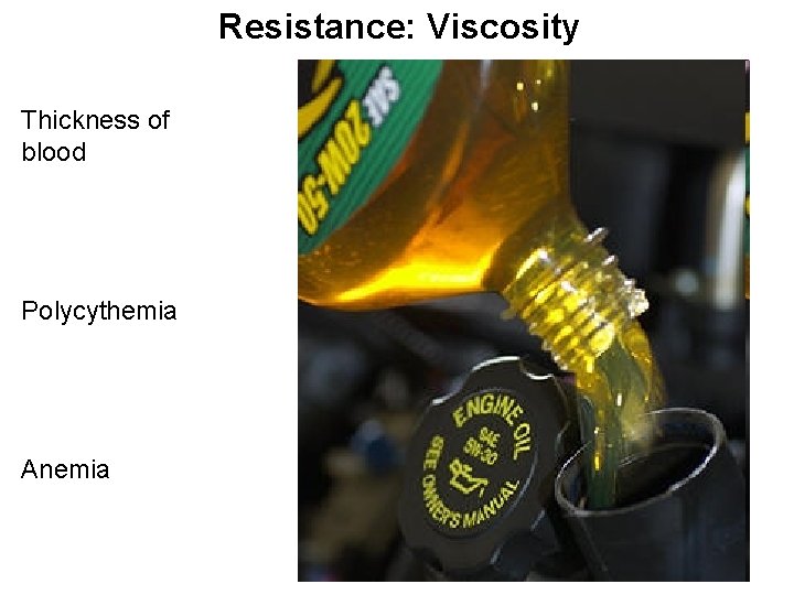 Resistance: Viscosity Thickness of blood Polycythemia Anemia 