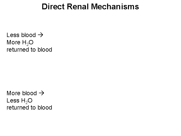 Direct Renal Mechanisms Less blood More H 2 O returned to blood More blood