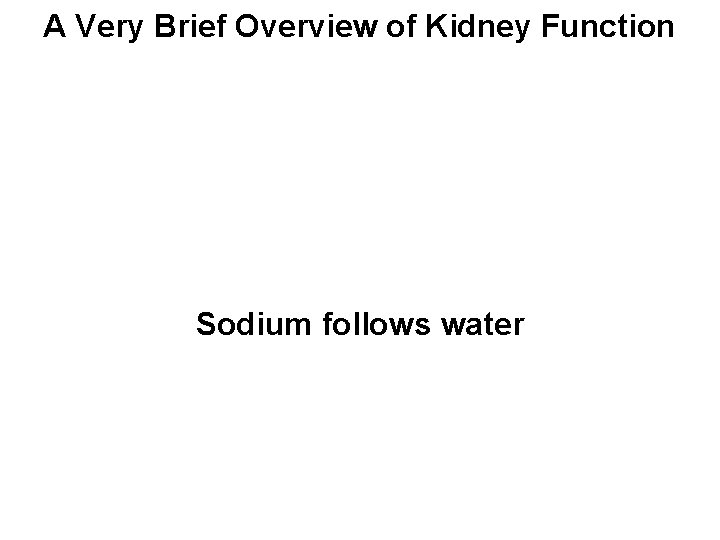 A Very Brief Overview of Kidney Function Sodium follows water 