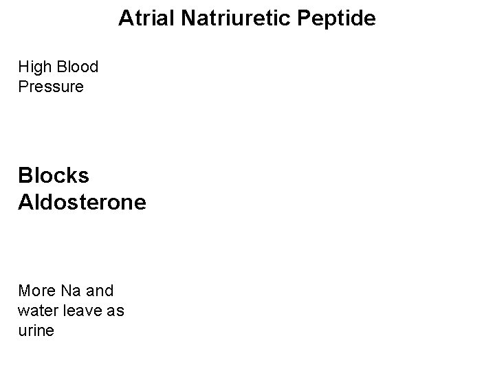 Atrial Natriuretic Peptide High Blood Pressure Blocks Aldosterone More Na and water leave as