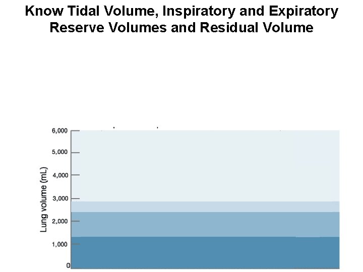 Know Tidal Volume, Inspiratory and Expiratory Reserve Volumes and Residual Volume 