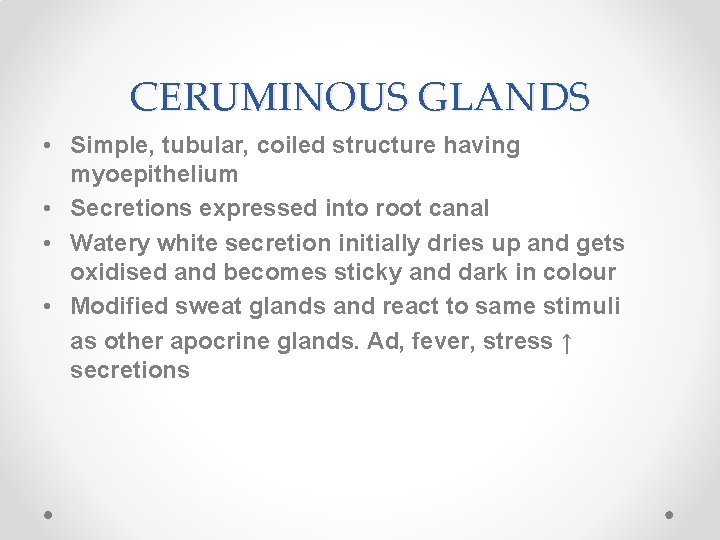 CERUMINOUS GLANDS • Simple, tubular, coiled structure having myoepithelium • Secretions expressed into root