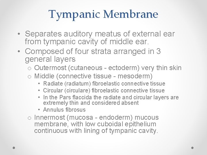 Tympanic Membrane • Separates auditory meatus of external ear from tympanic cavity of middle