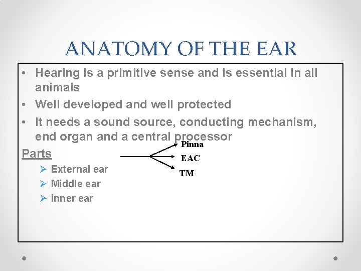 ANATOMY OF THE EAR • Hearing is a primitive sense and is essential in