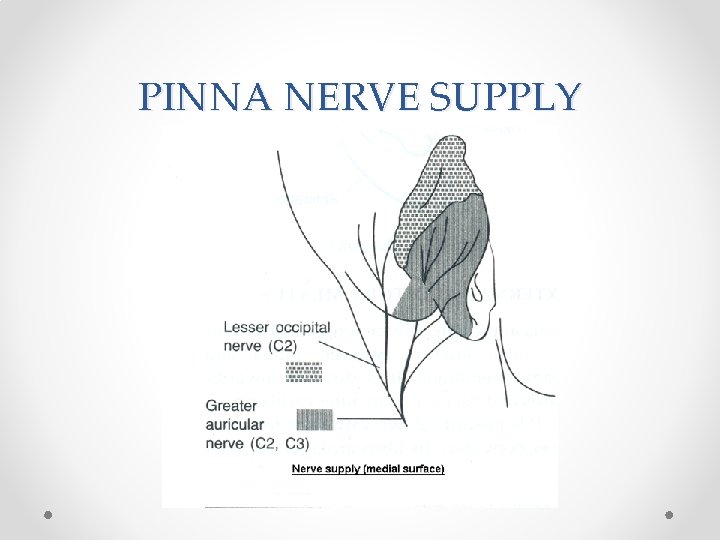 PINNA NERVE SUPPLY 