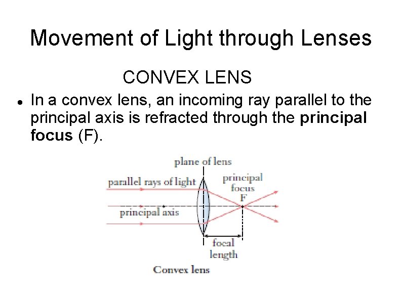 Movement of Light through Lenses CONVEX LENS In a convex lens, an incoming ray