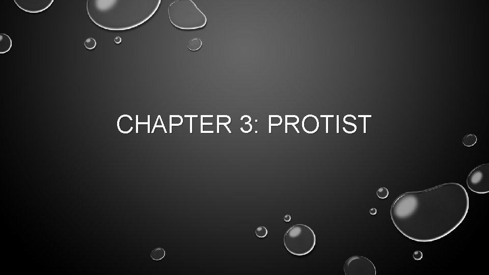 CHAPTER 3: PROTIST 