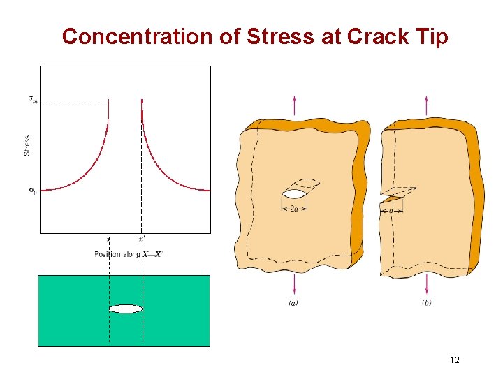 Concentration of Stress at Crack Tip 12 