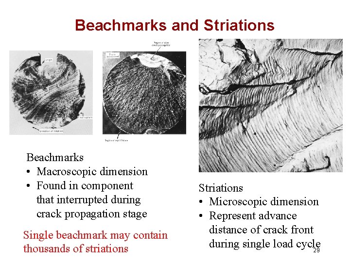 Beachmarks and Striations Beachmarks • Macroscopic dimension • Found in component that interrupted during