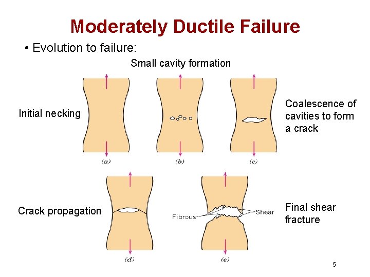 Moderately Ductile Failure • Evolution to failure: Small cavity formation Initial necking Coalescence of