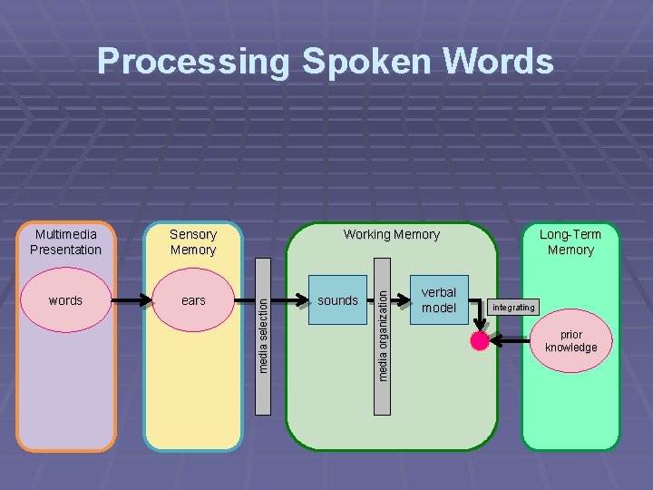 Processing Spoken Words words ears Working Memory sounds media organization Sensory Memory media selection