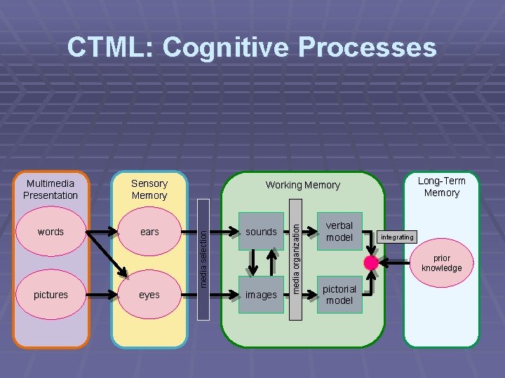CTML: Cognitive Processes words ears pictures eyes Long-Term Memory Working Memory sounds images media