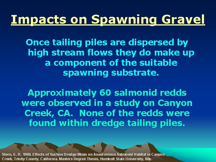Impacts on Spawning Gravel Once tailing piles are dispersed by high stream flows they