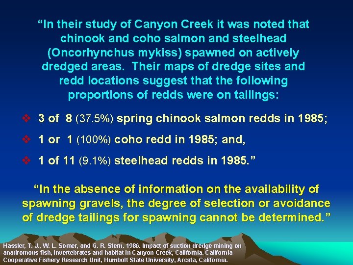 “In their study of Canyon Creek it was noted that chinook and coho salmon