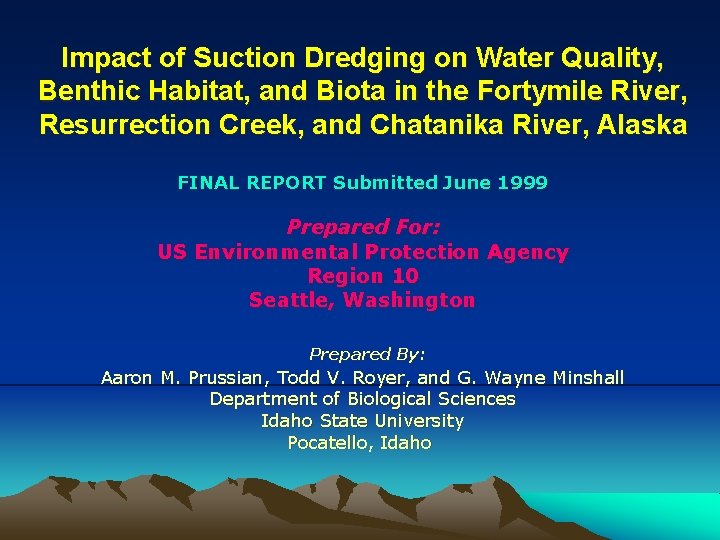 Impact of Suction Dredging on Water Quality, Benthic Habitat, and Biota in the Fortymile