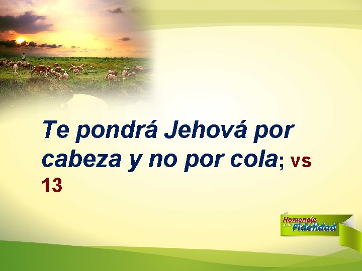 Te pondrá Jehová por cabeza y no por cola; vs 13 Te pondrá Jehová por cabeza y no por cola; vs 13