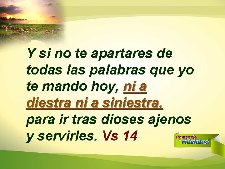 Y si no te apartares de todas las palabras que yo te mando hoy, Y si no te apartares de todas las palabras que yo te mando hoy,