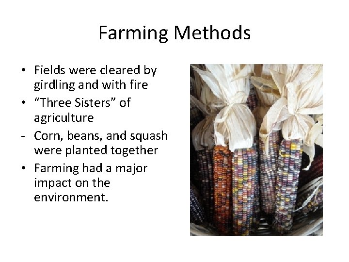 Farming Methods • Fields were cleared by girdling and with fire • “Three Sisters”