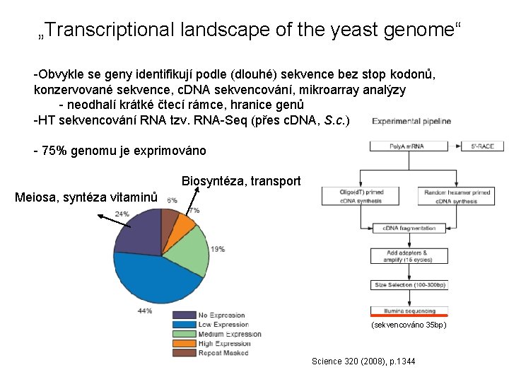 „Transcriptional landscape of the yeast genome“ -Obvykle se geny identifikují podle (dlouhé) sekvence bez