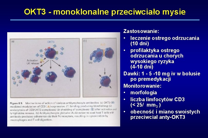 OKT 3 - monoklonalne przeciwciało mysie Zastosowanie: • leczenie ostrego odrzucania (10 dni) •